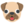 (dog2)